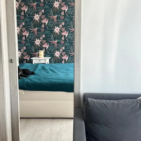 아파트 Boho Bliss 2bd *